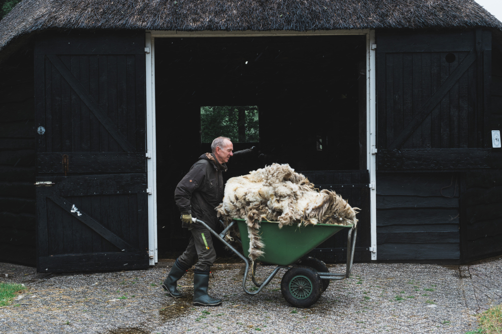 vrijwilligers schaapskooi