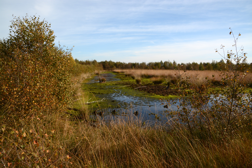 Hoogveen Vriezenveen