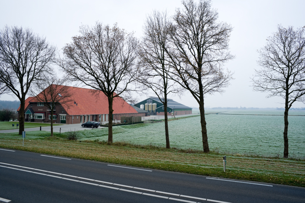 Veenkoloniaal landschap bij Kloosterhaar, Studio Pothoff