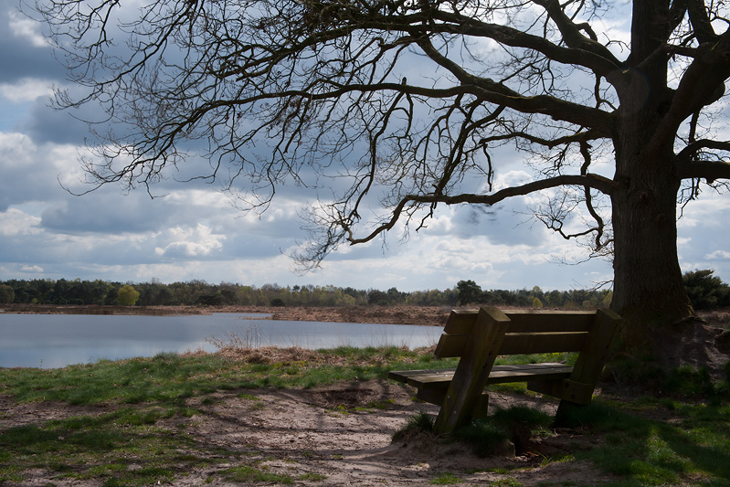 bankje in de Bergvennen, Han Bouwmeester