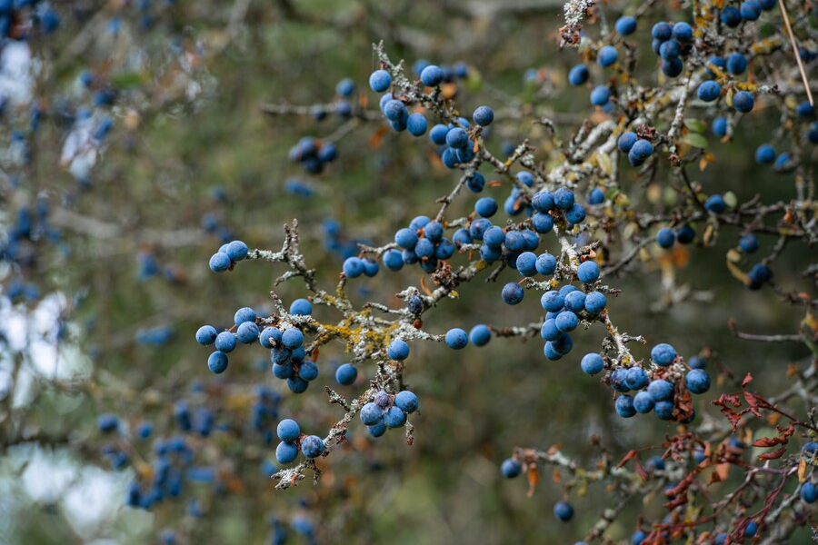 shutterstock_2692051429 (1)