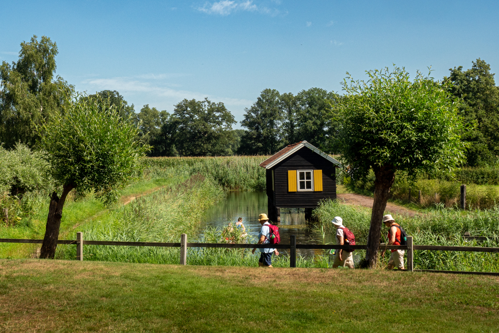 Regge bij de Pelmolen te Rijssen