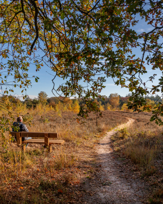 LO18675-Gonny Sleurink