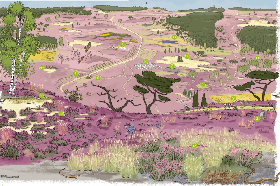 lemelerberg tekening