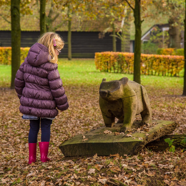 Bas de Daspad, Bennink fotografie