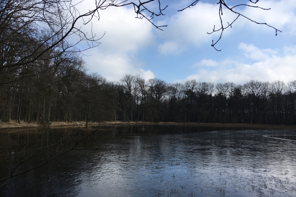 Vloeiweide Lonnekermeer 