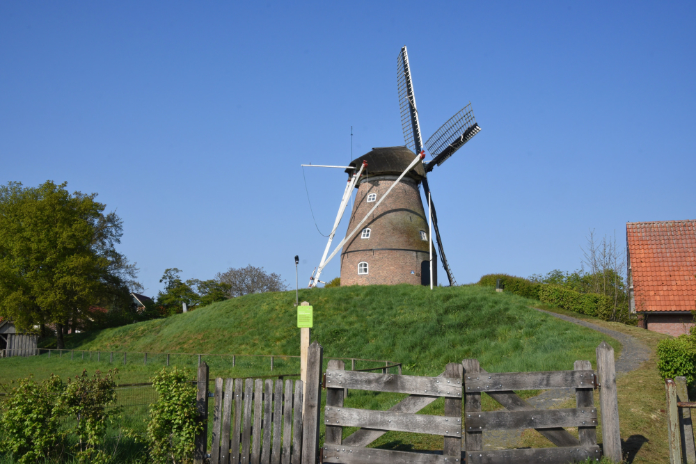 Molen van Frielink