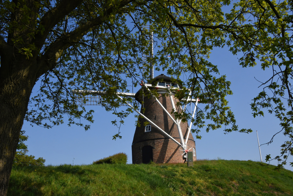 Molen Frielink, Fleringen