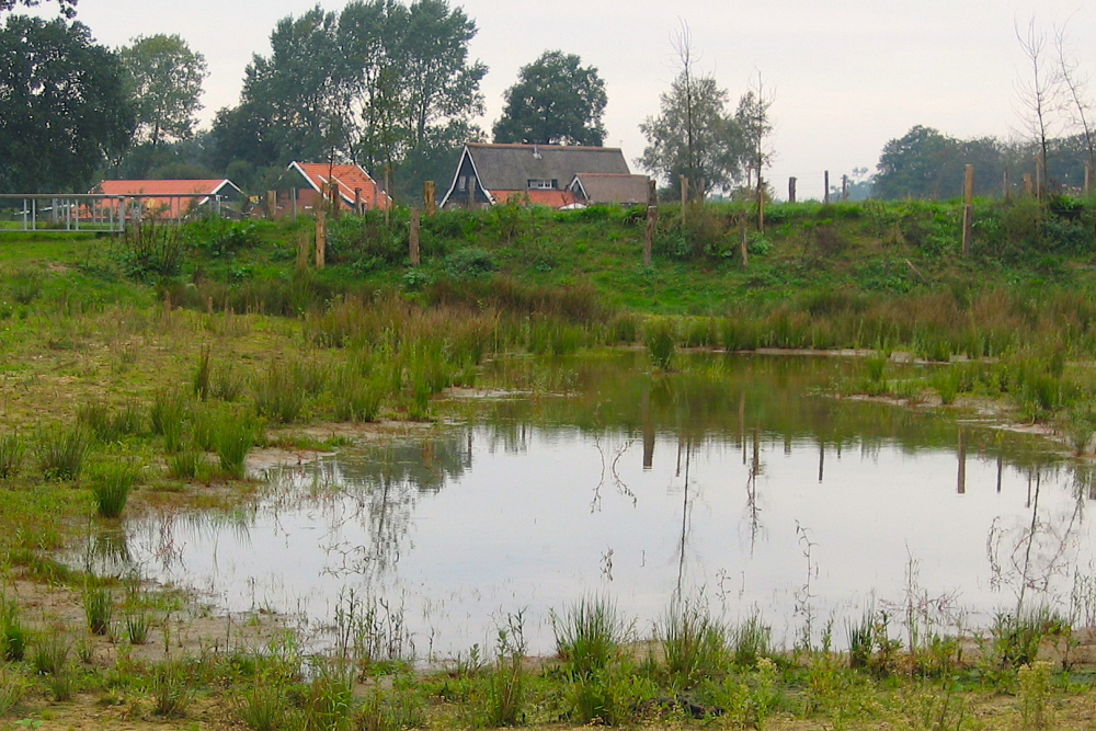 Poel