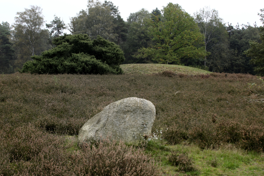 Vasserheide grafheuvel