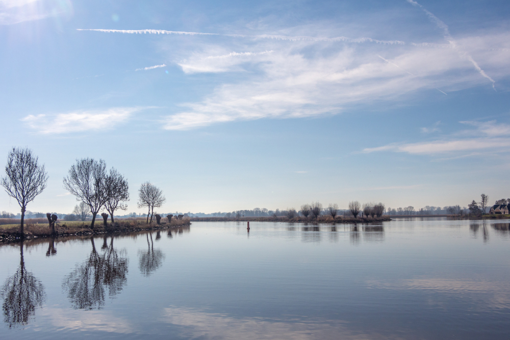 Zwarte water met knotbomen, Gonny Sleurink