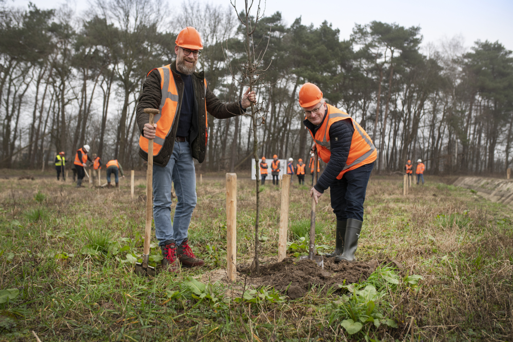 Aanplant bossenstrategie