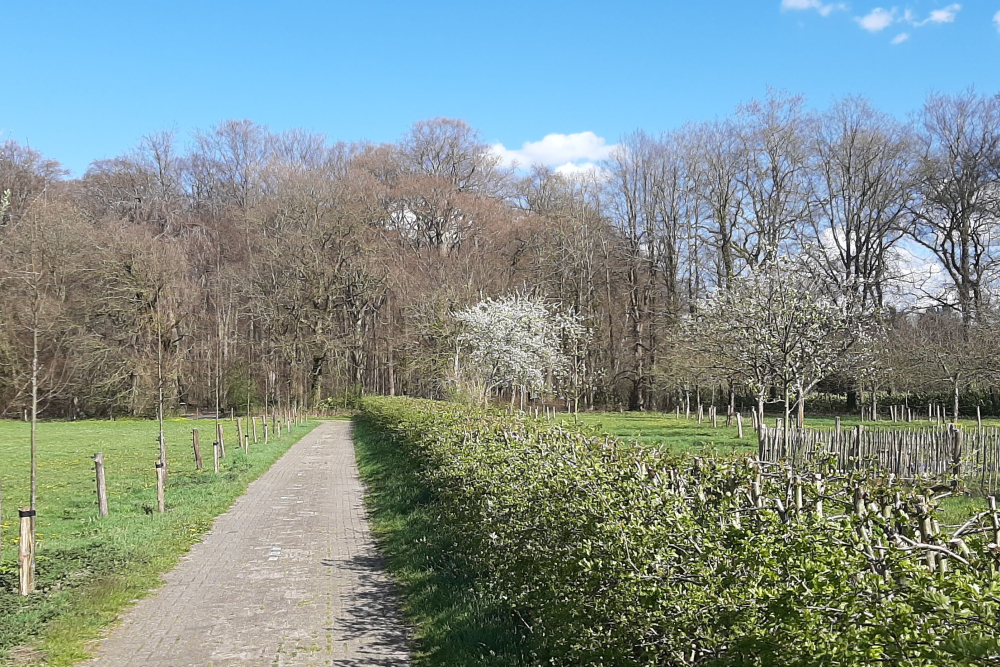 Landschapselementen