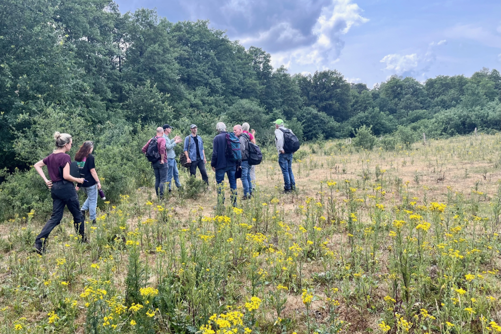 Vrijwilligers Wilde bomen & struiken & René van Loon, Beerze