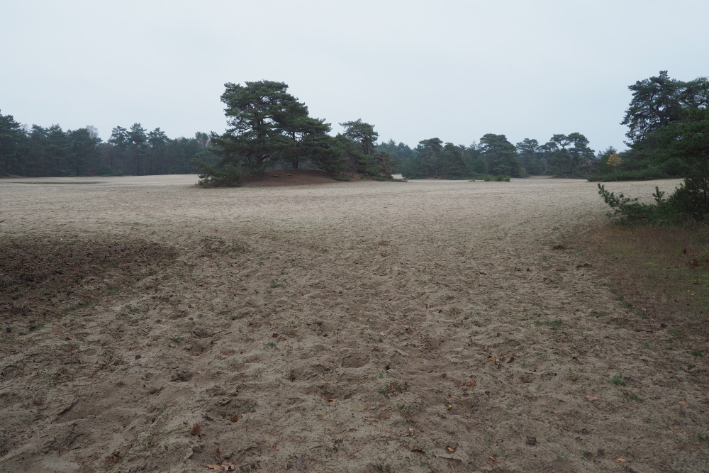 Dekzandgebied Heetdelle