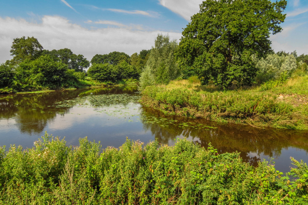 De Regge ter hoogte van Hellendoorn, Gonny Sleurink