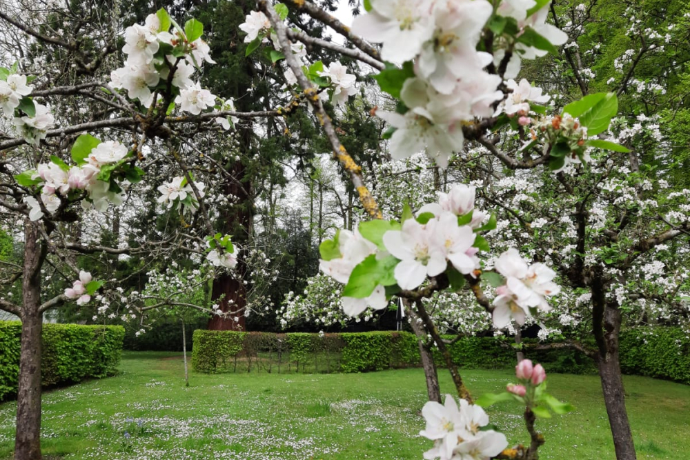 Landgoed De Horte, tuin voorjaar 2021