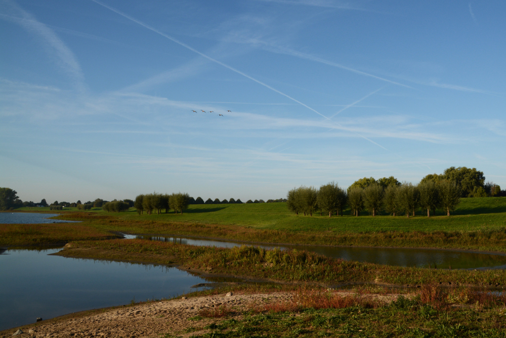 Uiterwaarden van de IJssel bij Welsum, Nico Kloek