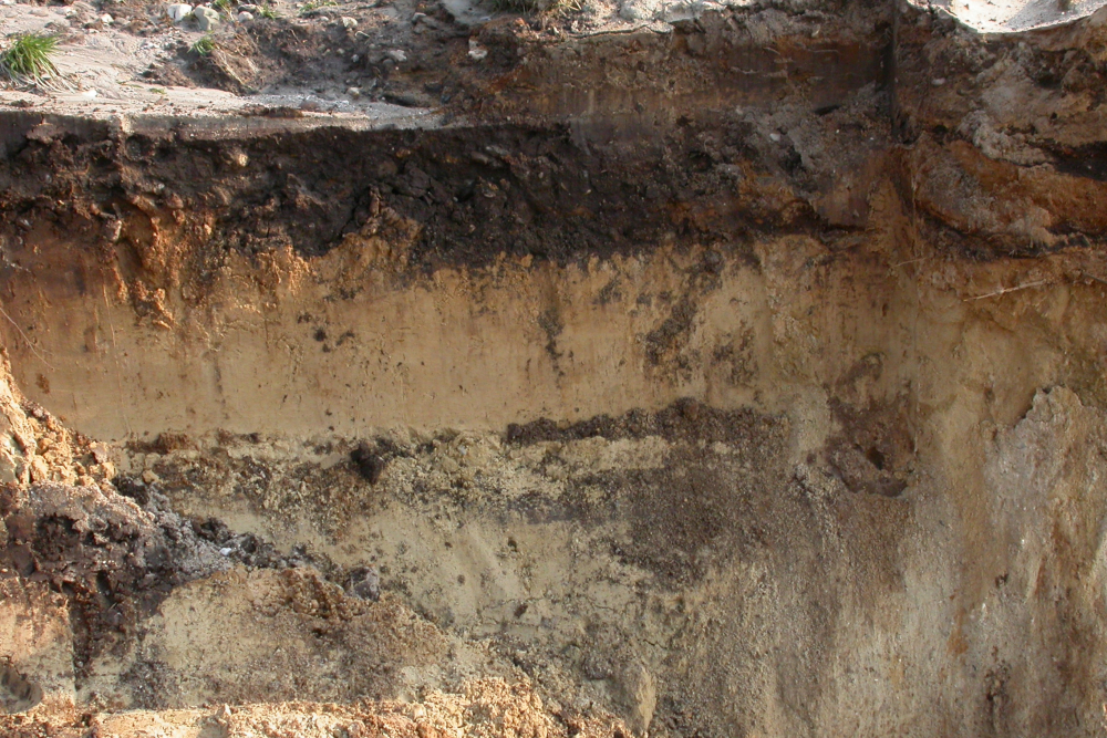 Zandwinplas Holten Rijssen