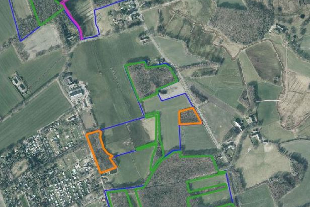 kaartanalyse Wilde bomen en struiken - luchtfoto (2022)