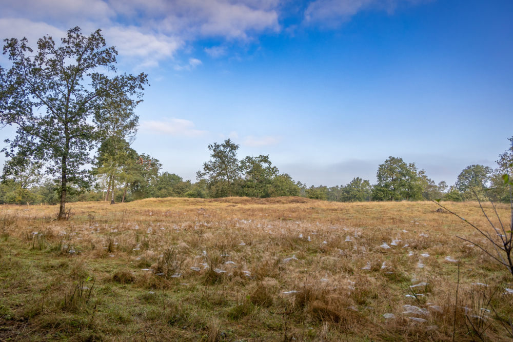 Dal van de Mosbeek