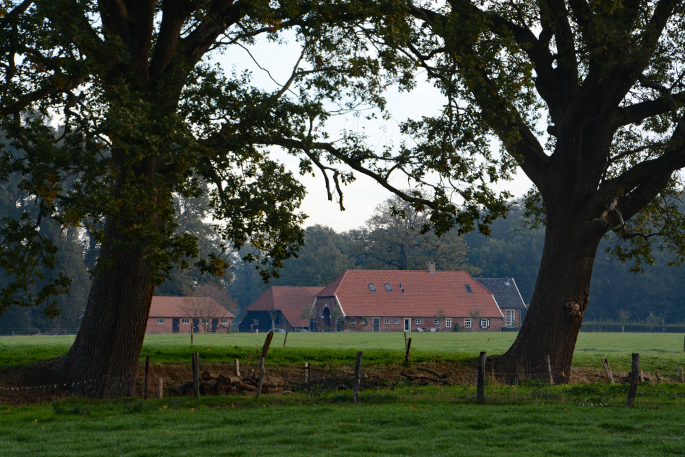 Boerderij horend bij de voormalige havezate Dubbelink in Ambt-Delden, Nico Kloek