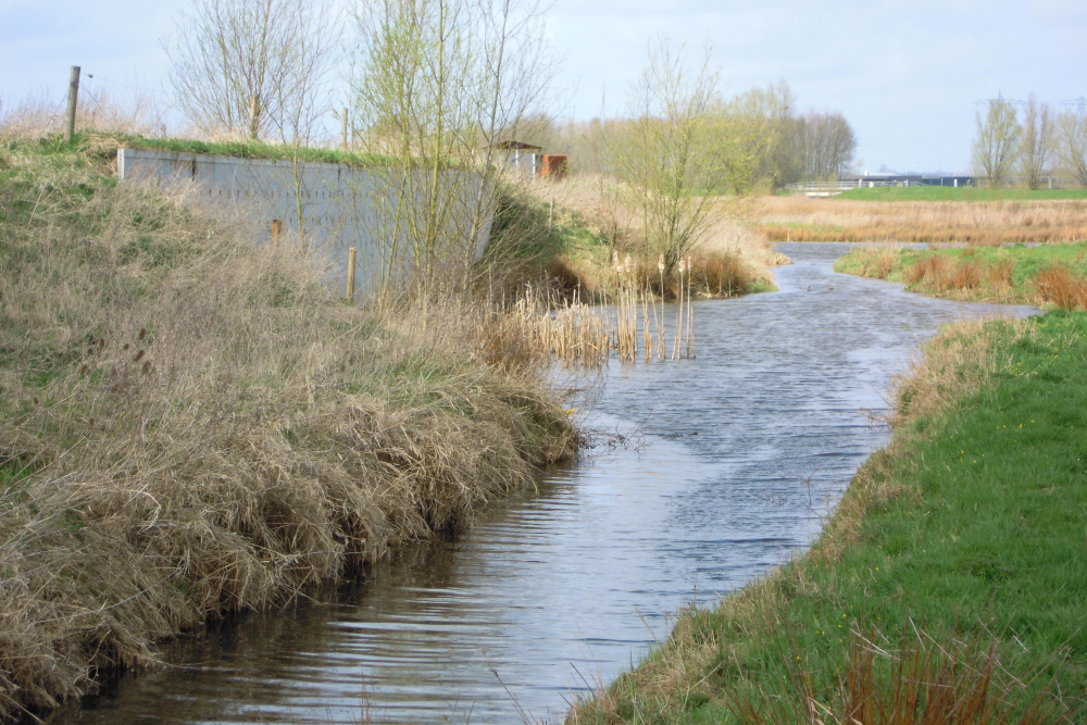 Oeverzwaluwwand, Sekdoorn