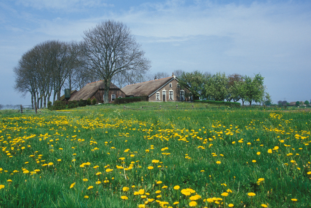 Boerderij Kampereiland IJsseldelta 