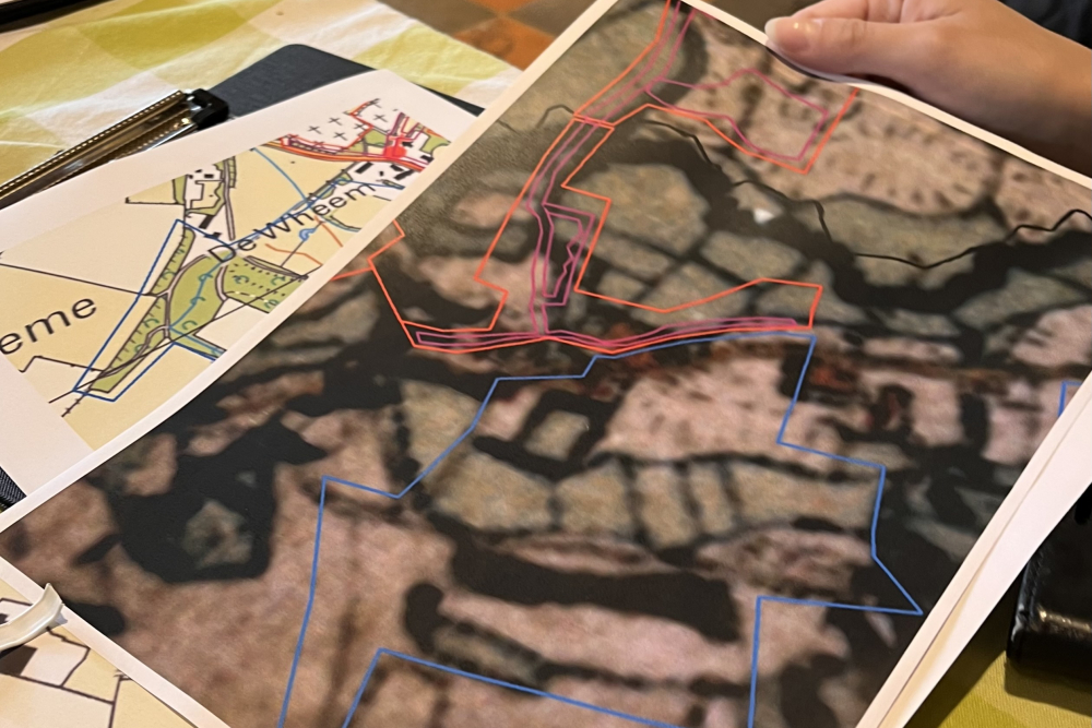 Historische kaart met oude boskernen, houtwallen, heggen (rood) en kansrijke zones (blauw)