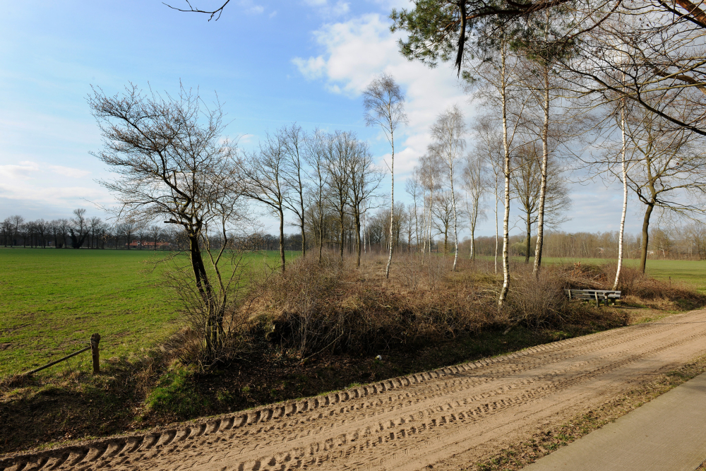 Geriefhoutbosje Landschap Overijssel