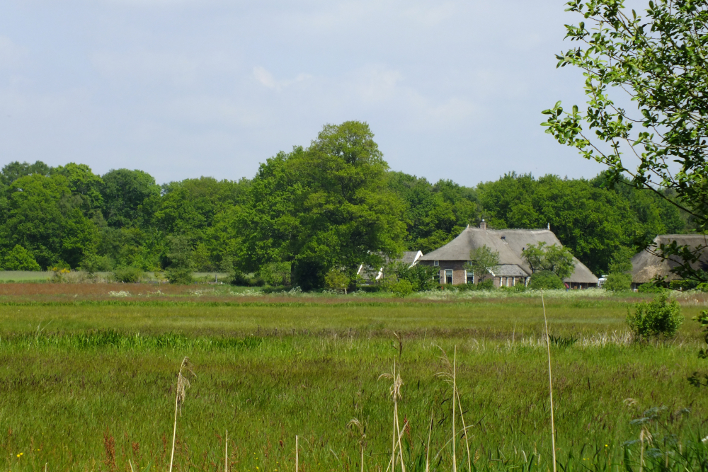 Boerderij Reestdal