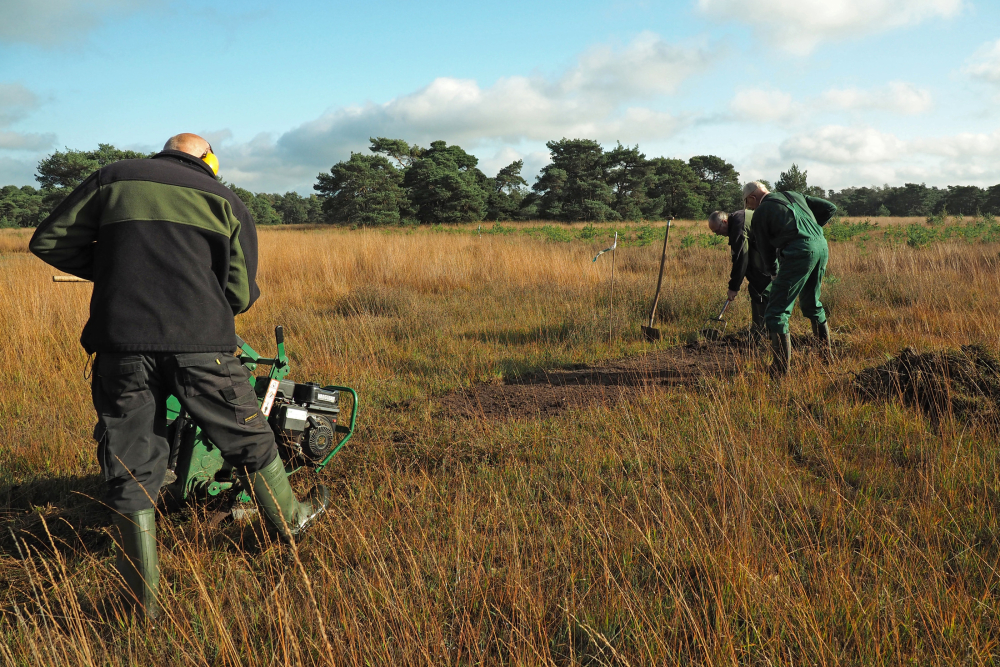 Vrijwilligers maaien Boetelerveld