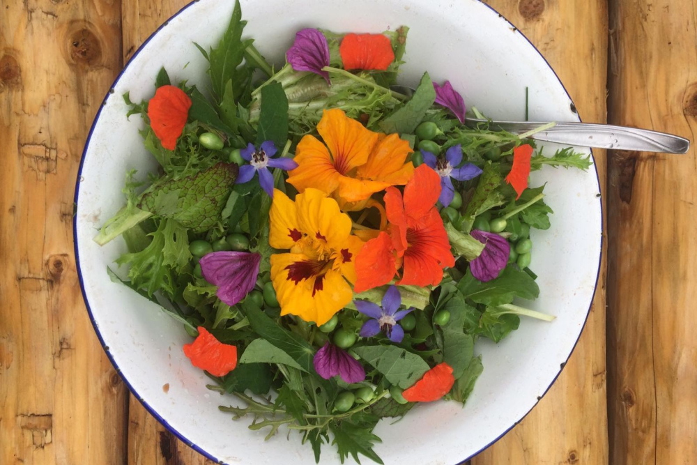 Zuuver bord bloemen