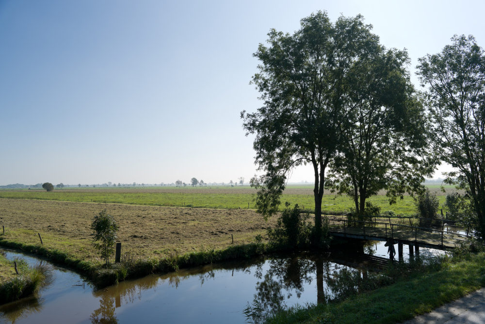 Veerslootlanden Rouveen, laagveen