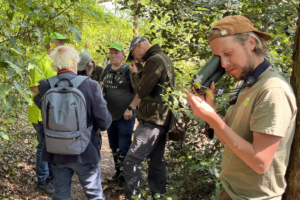 Velddag Wilde bomen & struiken Reestdal, determinatie