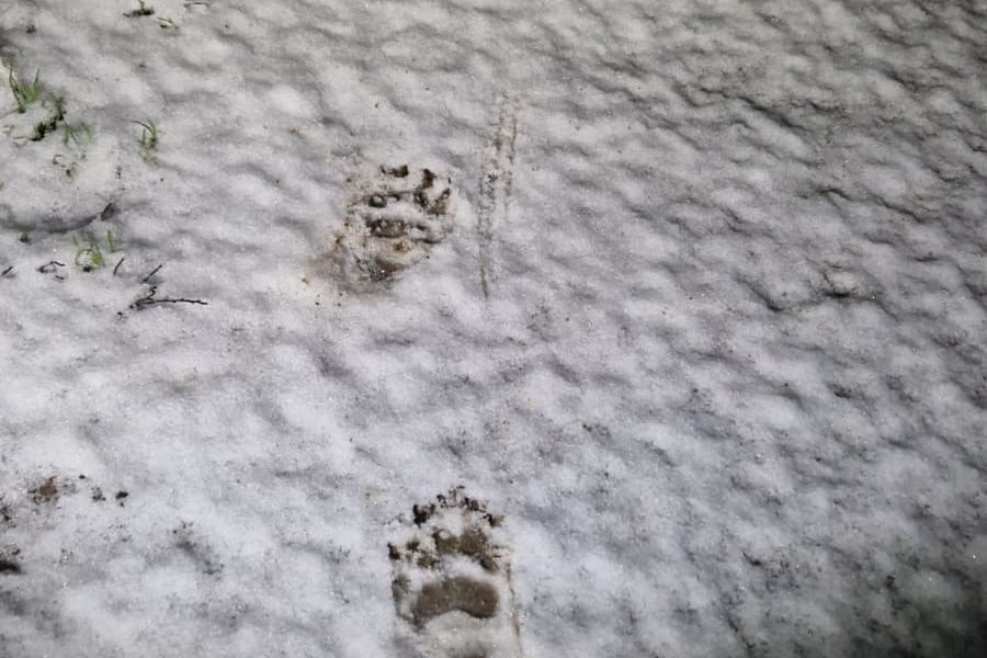 WhatsApp Image 2026-01-06 at 12.49.12