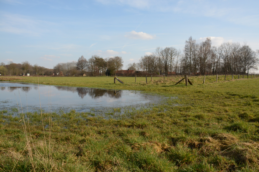 Landweer Oude Losserseweg