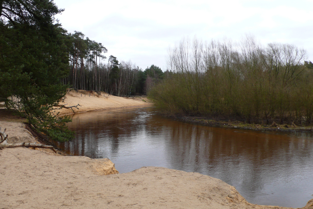 De Dinkel ter hoogte van het Lutterzand, Mark Zekhuis