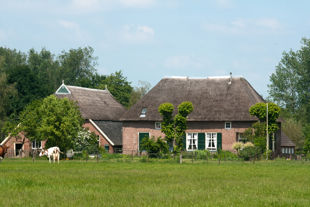 IJsselhoeve Bredenoord in Welsum, Jan Smit © www.dierenbeeldbank.nl