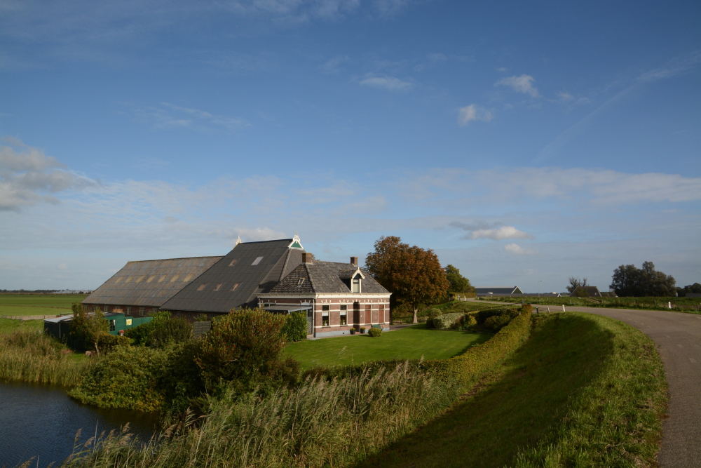 Zeekleilandschap Nico Kloek