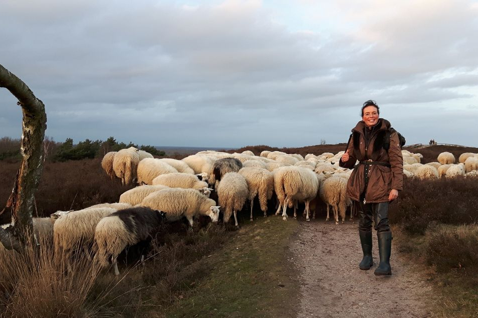 Anita tussen de schapen