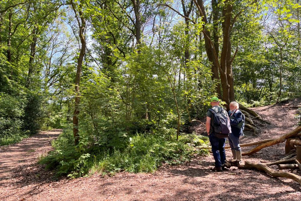 Velddag Wilde bomen & struiken, Reestdal