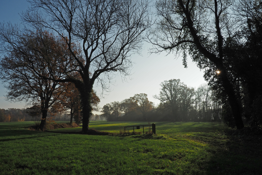 Dekzandlandschap Diepenheim Nico Kloek