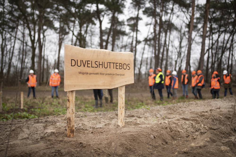Nieuw Duvelshuttebos