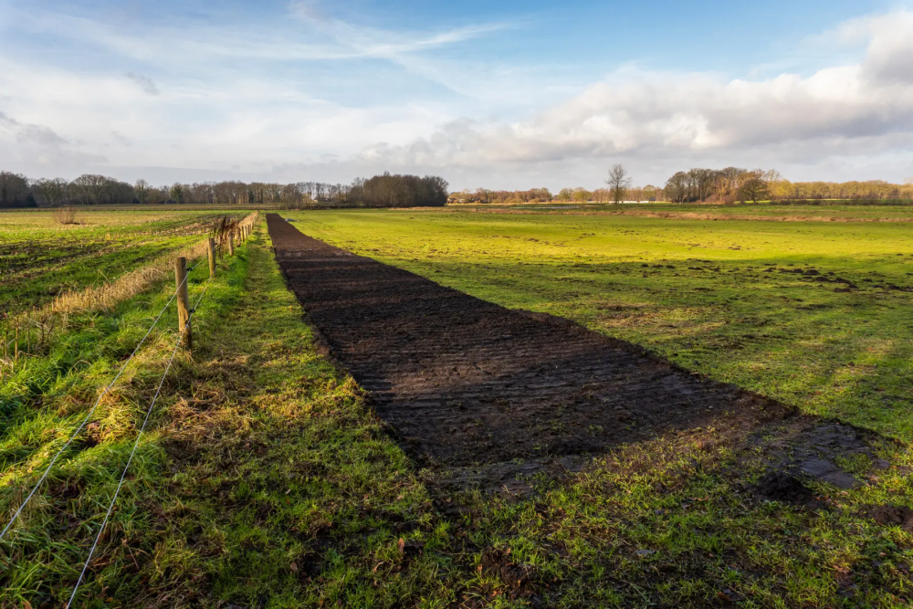 Trees-for-All-Landschap-Overijssel-De-Reest-januari-2025-scaled.jpg