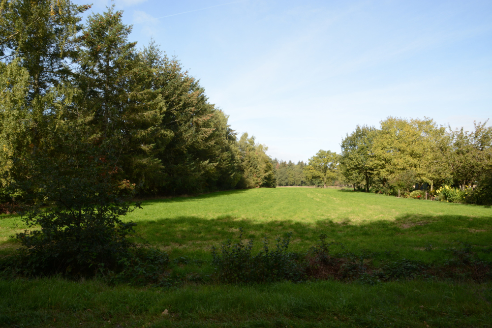 Restanten van een randveenontginning in Eesveen, Nico Kloek