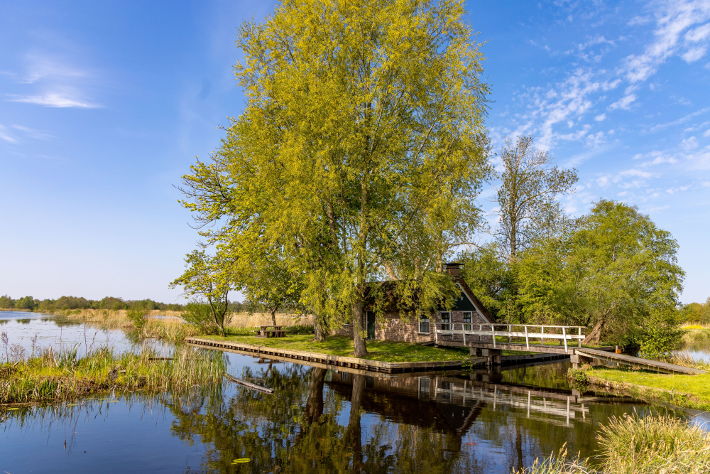Weerribben laagveen, veenhuisje