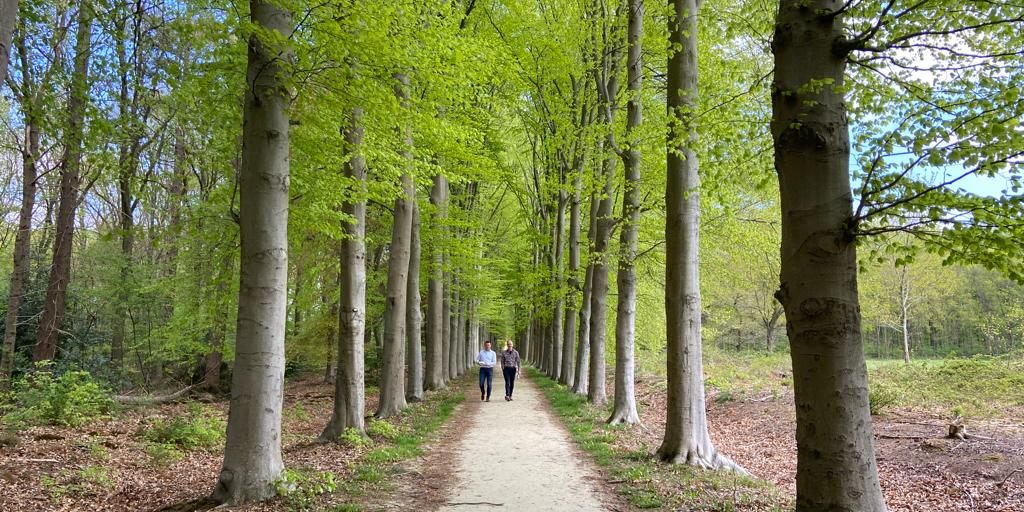 Lunchwandeling op de Horte
