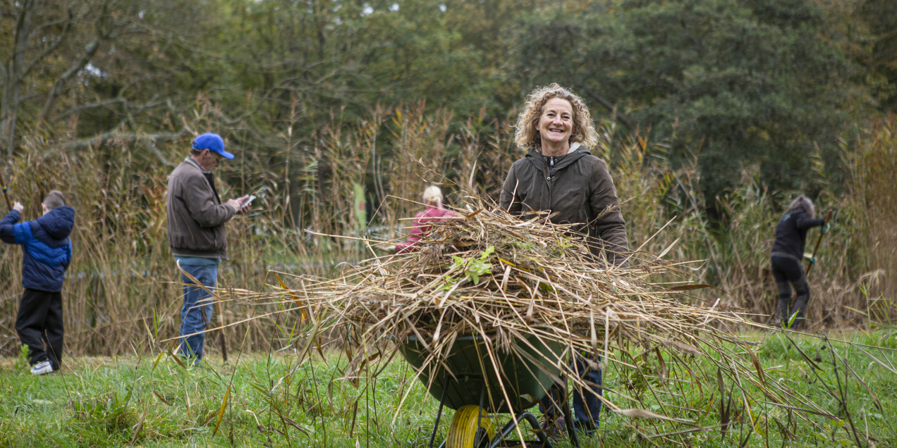 5I7A2841-LandschappenNL
