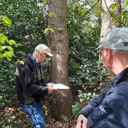 Vrijwilligers inventariseren wilde bomen & struiken